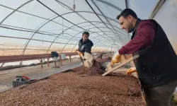 AKILLI TARIMDAN ATA TOHUMUNA: ŞANLIURFA’DA TARIMDA DÖNÜŞÜM HAMLESİ