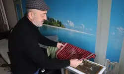 15. Katta Arıcılık Deneyi: Kayserili Usta Evinde Dünyaya Model Oluyor