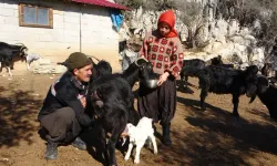 Köyüne Dönüp Babasının Mesleğini Devralan Üniversite Mezunu Genç Kadın: Ayşe Erden'in Yörük Kültürüne Adanmış Hayatı