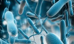 Ölümcül Salgın Durmuyor: Kolera Mozambik’te Alarm Veriyor