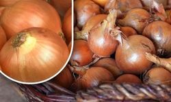 Soğanı Aylarca Taze Tutan Yöntem: Bahçıvandan Evde Saklama Rehberi
