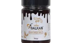 Ormanların Gizli Hazinesi Meşe Balı ve Eşsiz Oluşum Hikayesi