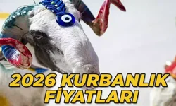 2026 Kurbanlık Piyasasında Fiyatlar Belirlendi: Büyükbaş ve Küçükbaş Kurbanlıklar Ne Kadar?