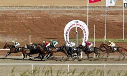At Yarışı Tutkunlarının 2026 Listesinde Olmazsa Olmaz Online Kaynaklar