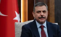 Sokak Köpeklerinde Yeni Dönem: Bakan Çiftçi'den Yılbaşı Hedefi