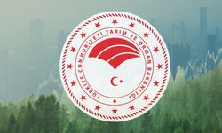 Tarım ve Orman Bakanlığı 1874 Personel Alımı İçin Geri Sayım Başladı! Başvuru Takvimi ve Kadro Dağılımı Belli Oldu