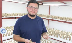 Kayseri’de Safran Üretiminde Raflı Sistem Dönemi Başladı