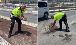 Yolda tehlikeyi fark etti, hemen harekete geçti! Bakan Çiftçi’den fedakar polise teşekkür