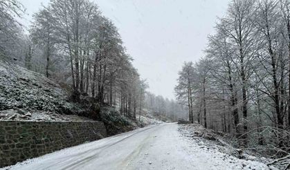 Artvin’de kar yağışı nedeniyle 13 köy yolu ulaşıma kapandı
