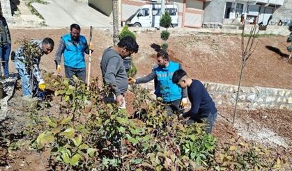 Eyyübiye’de ağaçlandırma ve yeşillendirme çalışmaları sürüyor