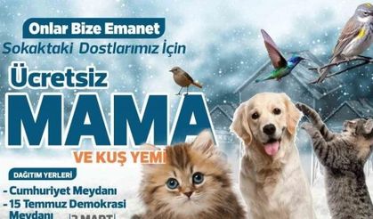 Elazığ Belediyesi ücretsiz mama ve kuş yemi dağıtacak