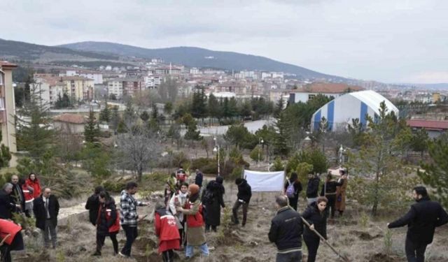 Yozgat’ta 300 fidan, depremde hayatını kaybeden kadınlar anısına toprakla buluştu