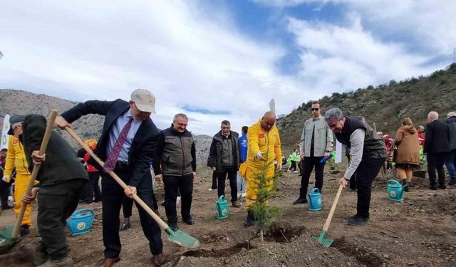 Amasya Orman Bölge Müdürü Özer: “Türkiye en çok ağaçlandırmada Avrupa’da 1. sırada”