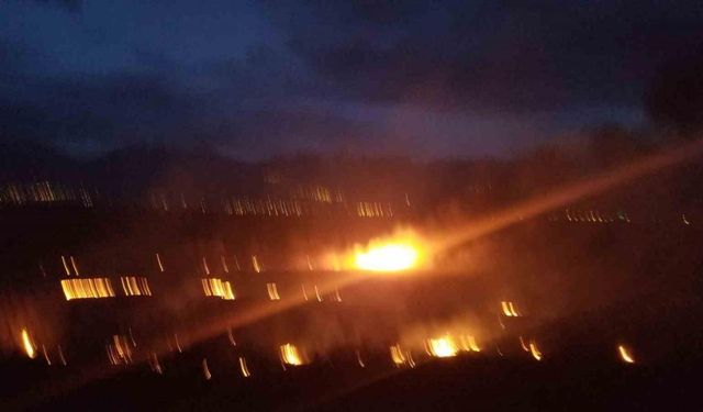 Erzincan’da örtü yangını korkuttu