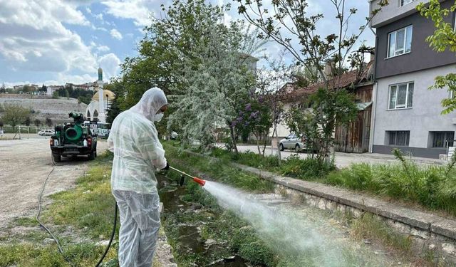 Bozüyük Belediyesi ilaçlama çalışmalarına hız verdi