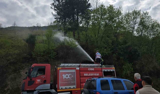 Kastamonu’da korkutan orman yangını: Büyümeden söndürüldü