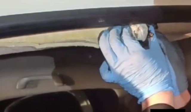 Narkotik köpeği "Ceku" buldu, 3 şahıs tutuklandı