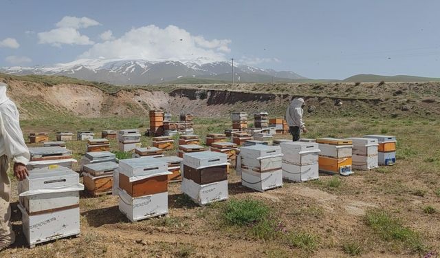 Süphan Dağı’nın eteklerinde üretim yapan arıcılar bu yıl yüksek rekolte bekliyor