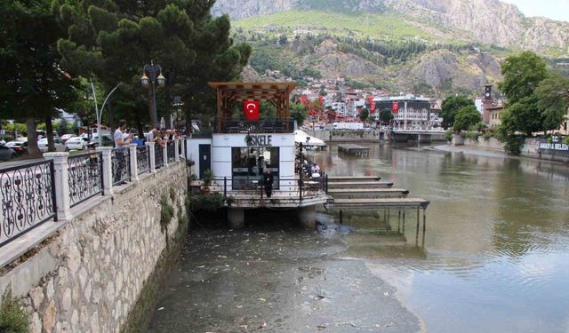 Amasya’da Yeşilırmak Nehri’nde balık ölümleri: Balık tutanlar ‘zehirli olabilir’ diye uyarıldı