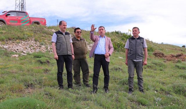 Bayburt’ta bin dekarlık alanda 300 bin fide toprakla buluşturulacak