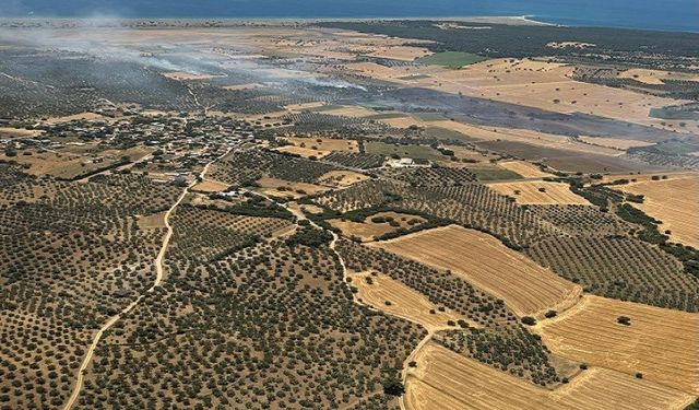 Ezine’de tarım arazisinde başlayan yangın ormanlık alana sıçramadan kontrol altına alındı