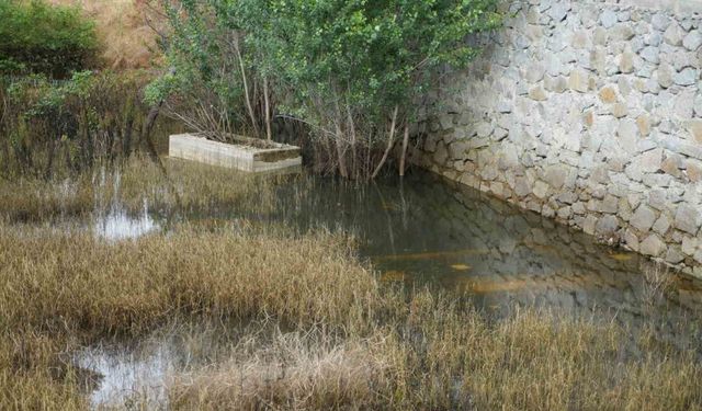 Gümüşhane’de her yıl sular altında kalan 50 mezarlık taşınacak