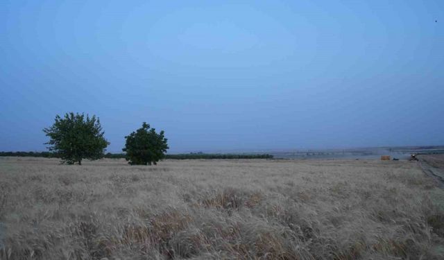 Kilis’te çiftçilerin zorlu mesaisi bayramda da devam ediyor