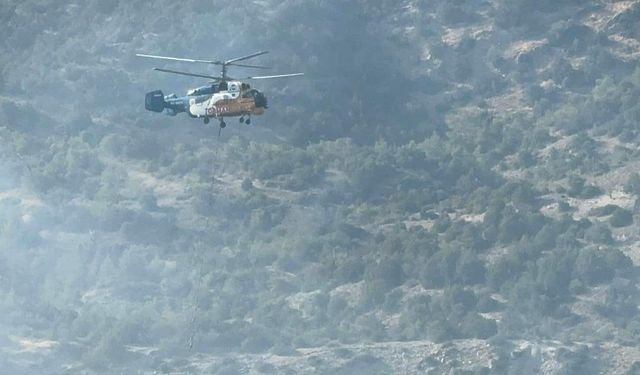 KKTC’deki orman yangınının nedeni belli oldu