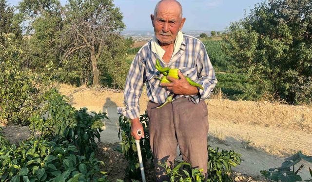 88 yaşında üretmeye devam ediyor