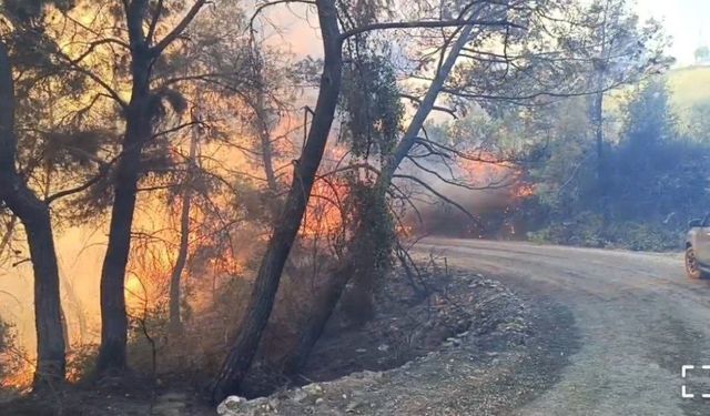 Adana’daki orman yangınında 10 ev tedbir amaçlı tahliye edildi