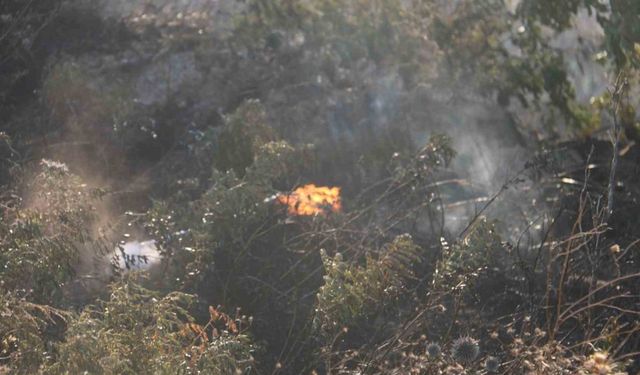 Antakya’da otluk alanda çıkan yangın büyümeden söndürüldü