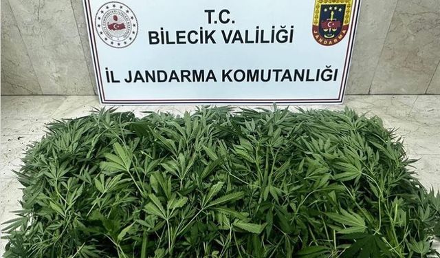 Bilecik’te uyuşturucu operasyonu: 2 şüpheli tutuklandı