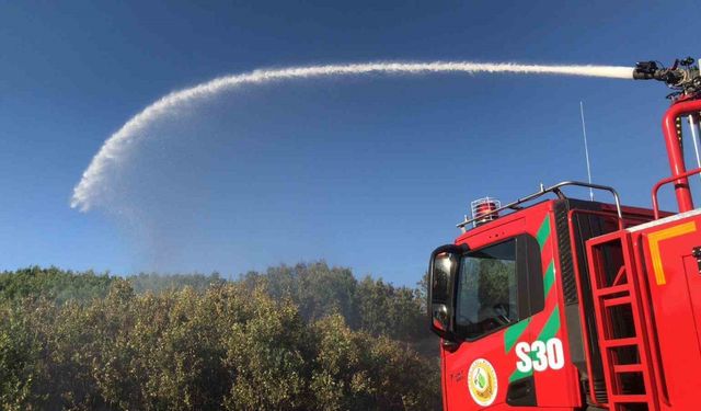 Bingöl’de çıkan orman yangını büyümeden söndürüldü