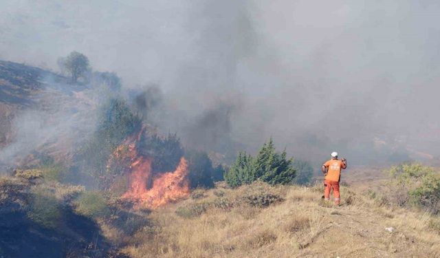 Bingöl’de çıkan orman yangını söndürüldü