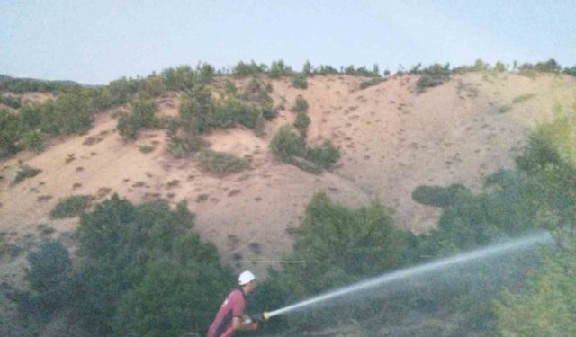 Bingöl’de orman yangını büyümeden söndürüldü