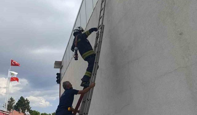 Bolu İtfaiyesi afetlere karşı eğitimlere devam ediyor