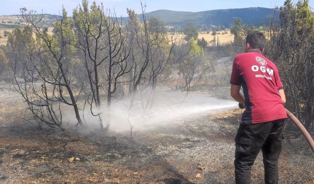 Bozüyük’te çıkan anız yangını ormanlık alana sıçramadan söndürüldü