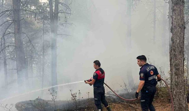 Büyükşehir Belediyesi yangınlara anında müdahale etti