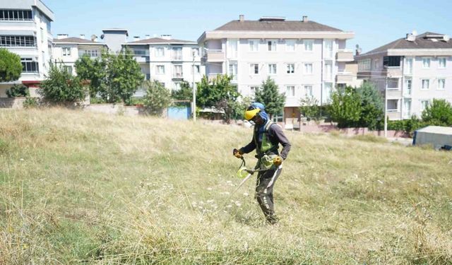 Çayırova’da yabani ot temizliği sürüyor