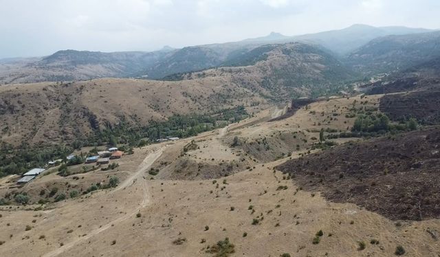 Dağlık alanda çıkan yangında 75 hektar alan zarar gördü