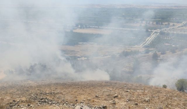 Denizli’de ormanlık alanda çıkan yangına müdahale ediliyor