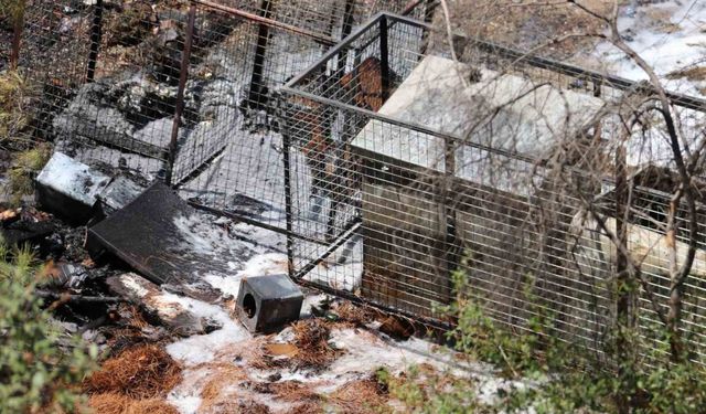 Fethiye’de çöp yangını ormana sıçramadan söndürüldü