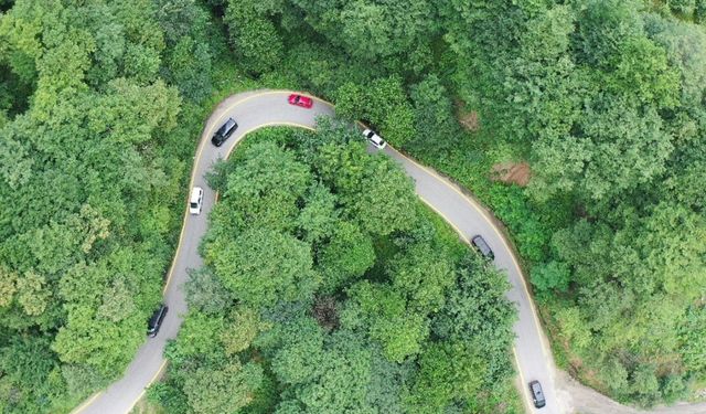 Hıdırnebi Yayla yolunda sise sarı çizgili önlem