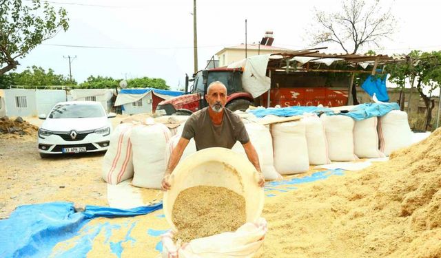 Kahramanmaraş’ta besicilerin saman telaşı