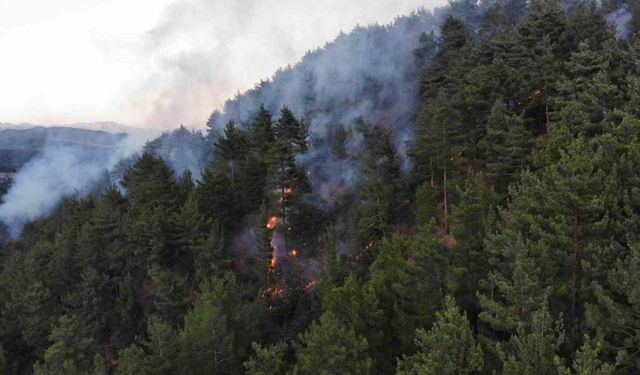 Kahramanmaraş’taki orman yangını piknikçi ateşinden çıkmış