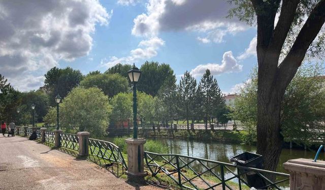 Kalın gövdeli ağaç yürüyüş yoluna devrildi