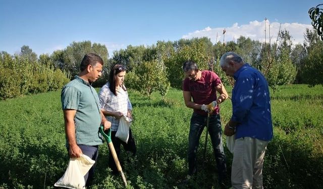 Kastamonu’da meralar ekonomik değere dönüştürülecek