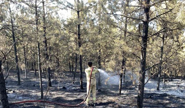 Kastamonu’daki orman yangını kontrol altına alındı