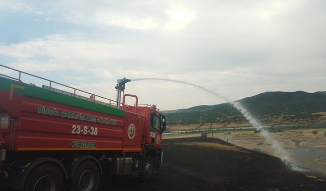 Kırsal alanda çıkan yangınlar ormana sıçramadan söndürüldü