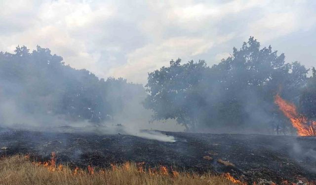 Kütahya’da arazi yangını